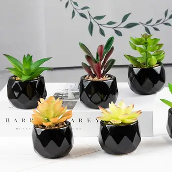Artificiale Plante Suculente Mini Decorative Faux Suculente Artificial Suculente Fals Simulare Plante Cu Negru Vase